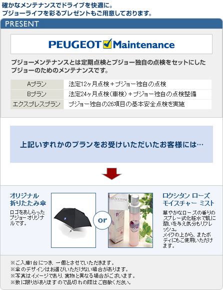 プジョー　メンテナンスキャンペーン　セクション2