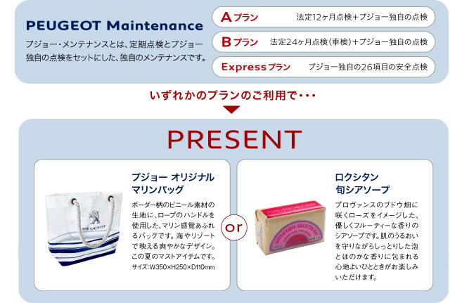 プジョー・メンテナンスキャンペーン_セクション2