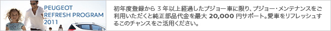 プジョー・メンテナンスキャンペーン_セクション3