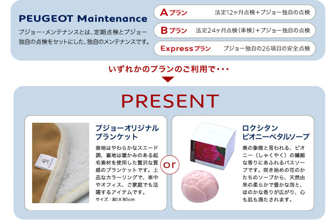 プジョー・メンテナンスキャンペーン_セクション2