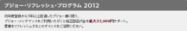 プジョー・メンテナンスキャンペーン　セクション3