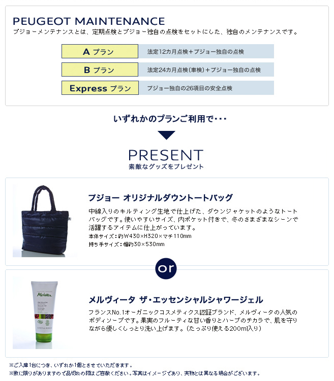 プジョー・メンテナンスキャンペーン　セクション2