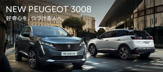 NEW　３００８　DEBUT　FAIR