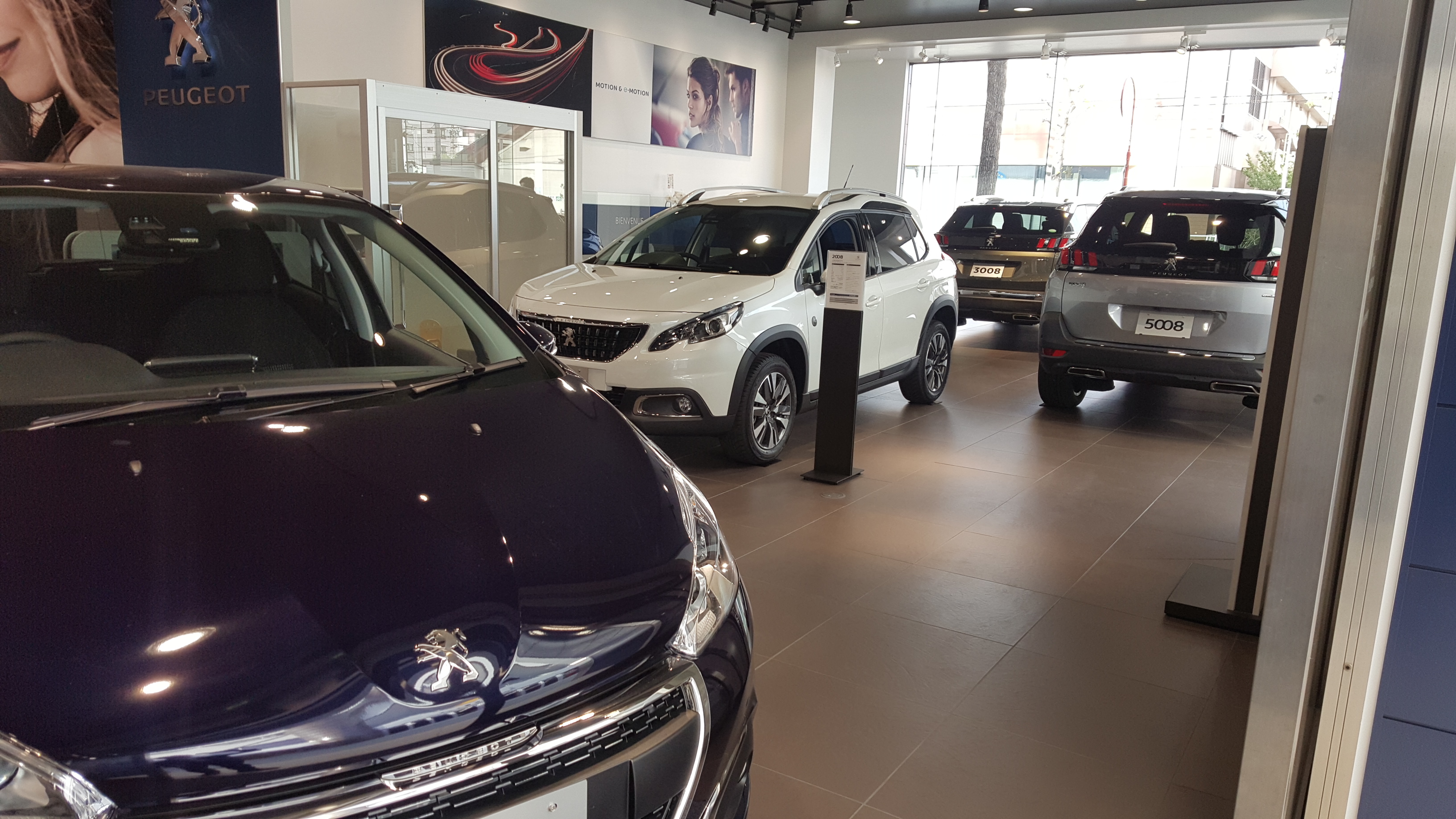 ＮＥＷ！展示車配置