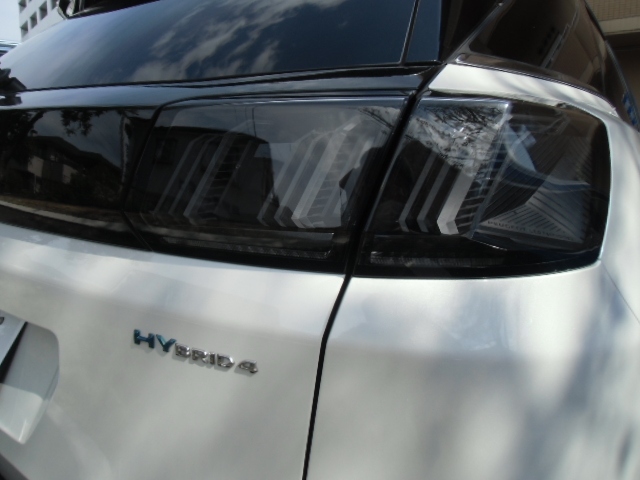 HYBRID４　DEBUT　FAIR