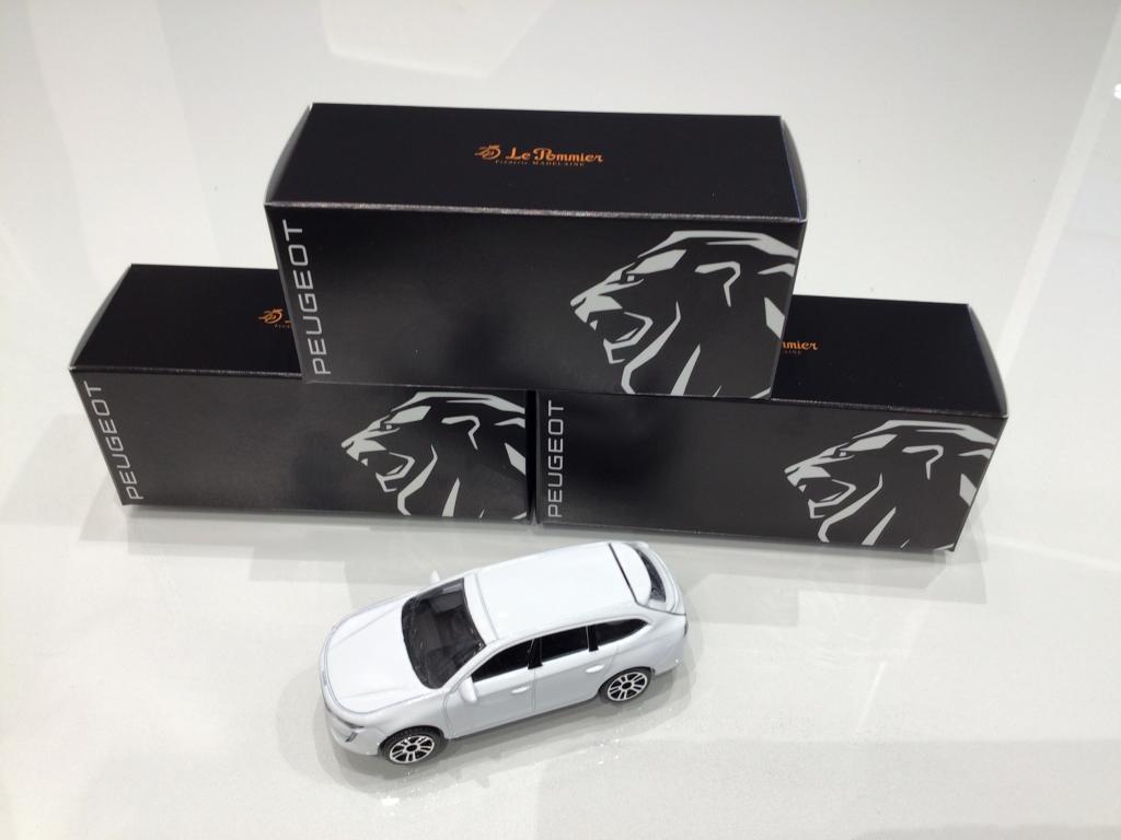 LION　TASTINGフェア　　～２０日まで