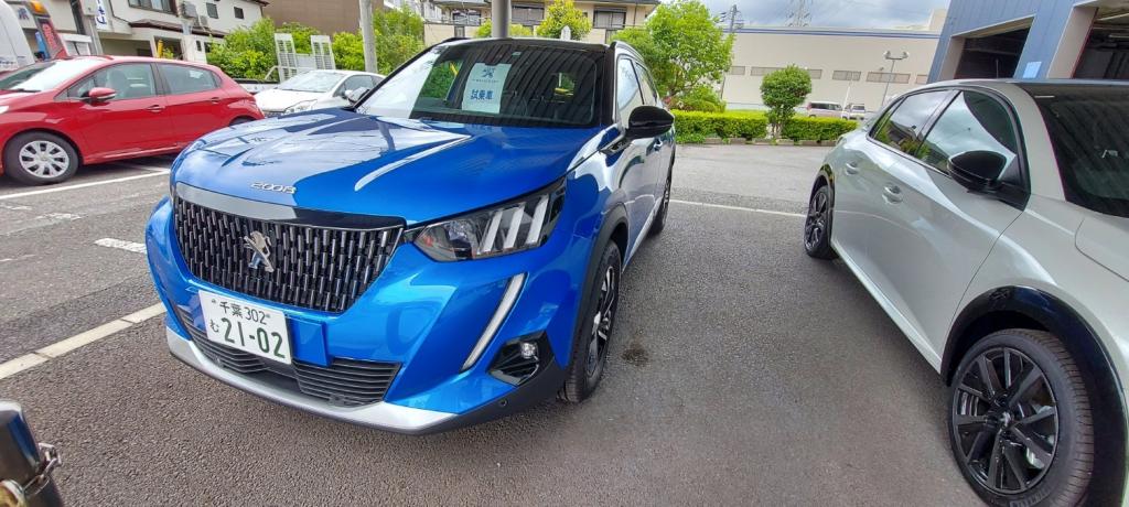 2008ディーゼルモデル