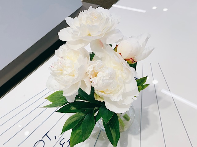 ７月の定休日のご案内