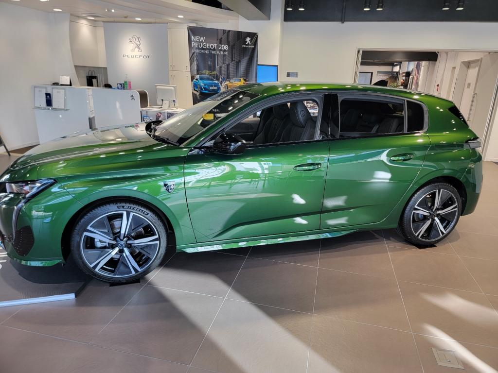 SUV！ハッチバック！