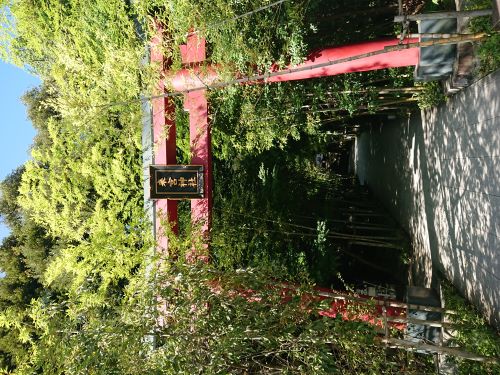 パワースポット！