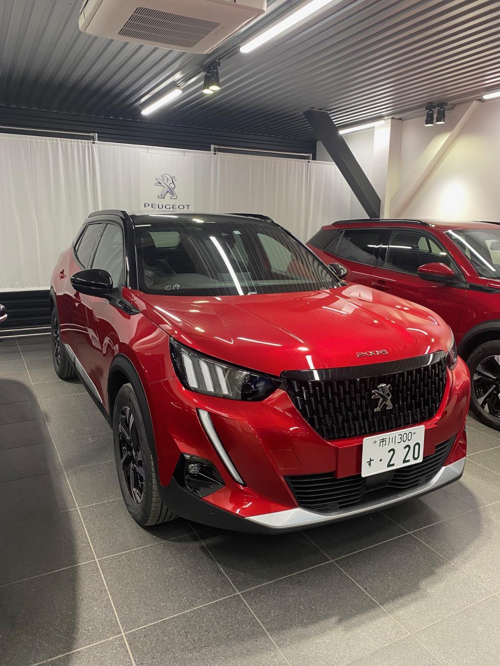 新入りが入りました！！