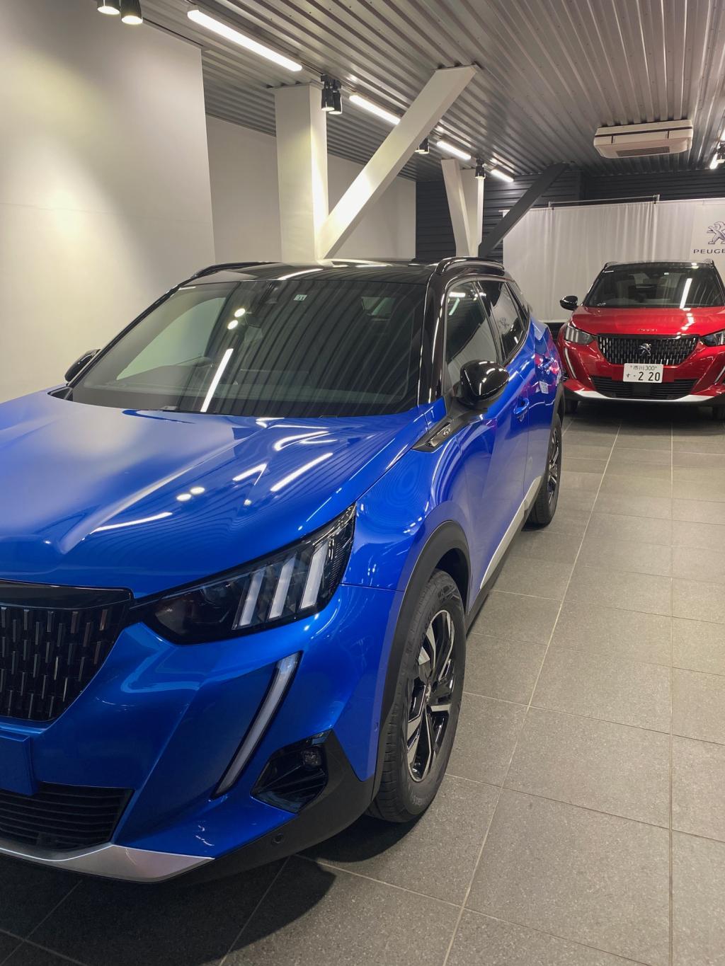 新入りが入りました！！