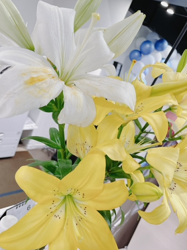 素敵なゆりのお花と美味しいお煎餅をいただきました☆