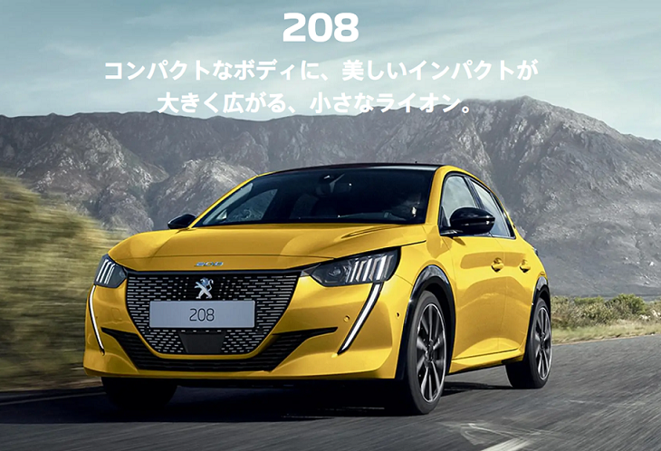 LITTLE LIONフェア開催中です！