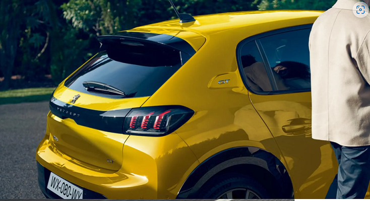 LITTLE LIONフェア開催中です！