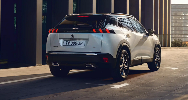 LITTLE LIONフェア開催中です！