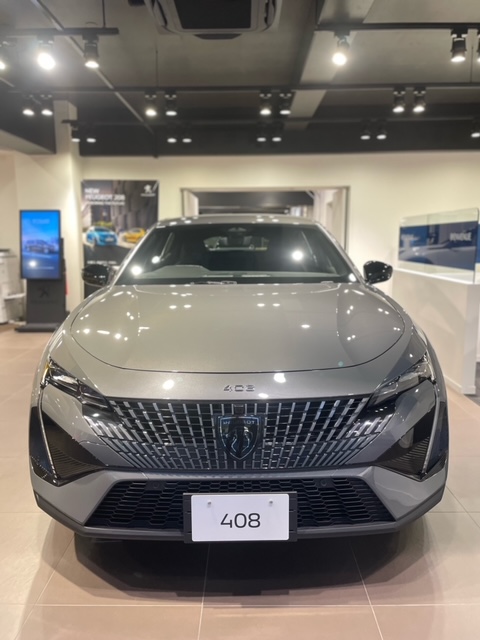 特別使用車　408セレニウムグレー！！