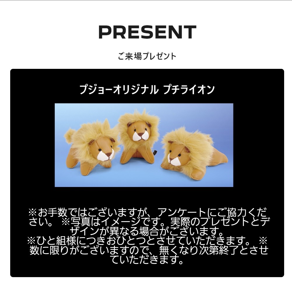 Screenshot_20250301_072113_Instagram~2.jpg