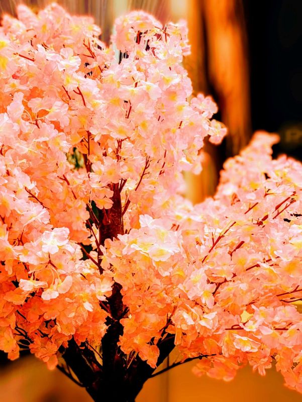 明日は定休日です