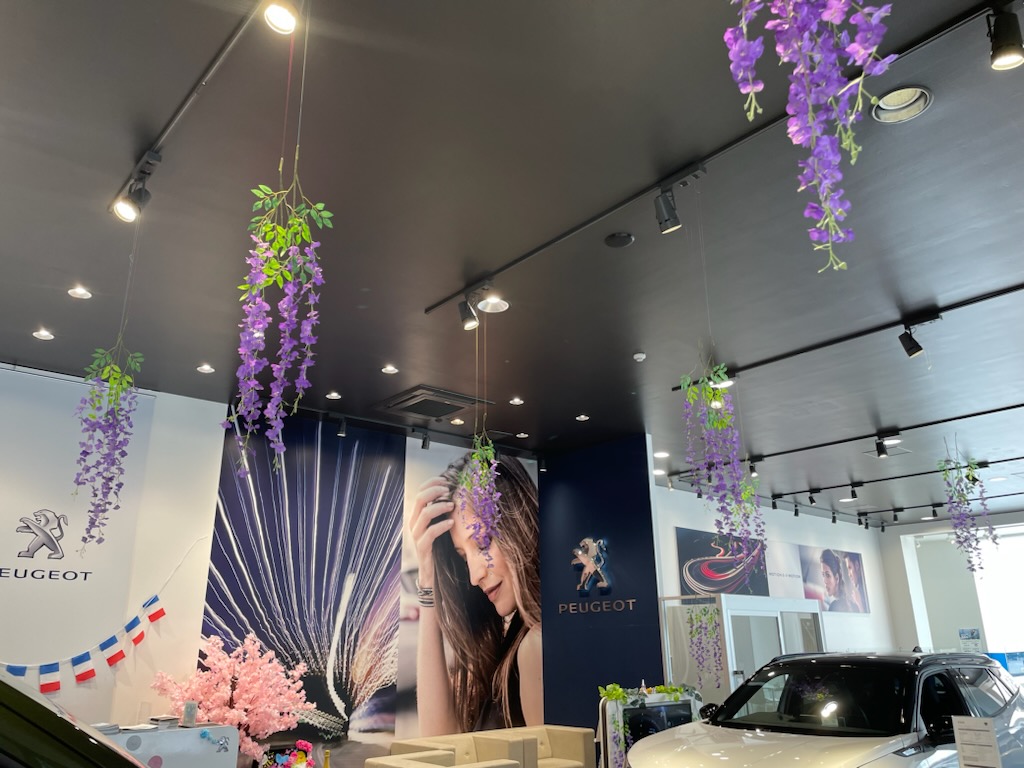 春～初夏の装い