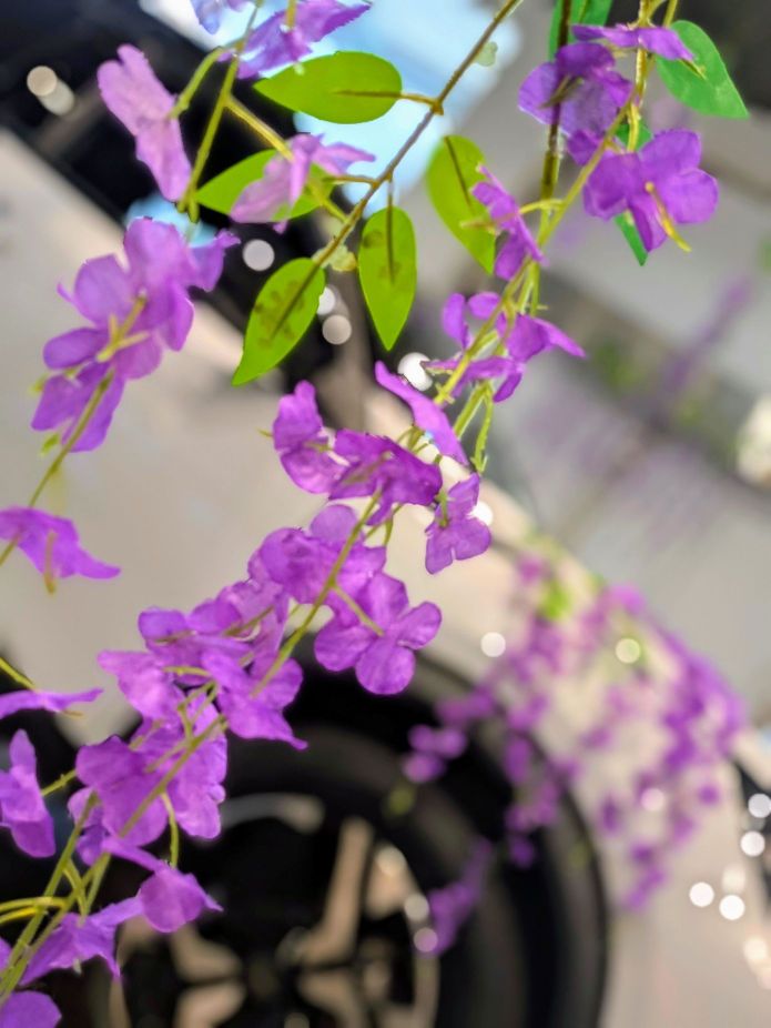 4月28日は定休日です