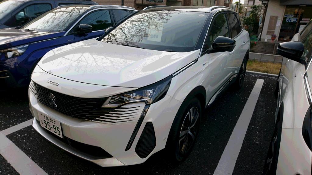 NEW3008HYBRI4