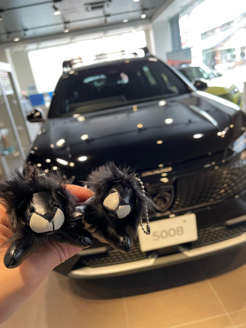 5008デビューフェア！