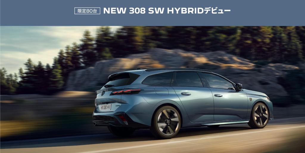NEW 308 sw
